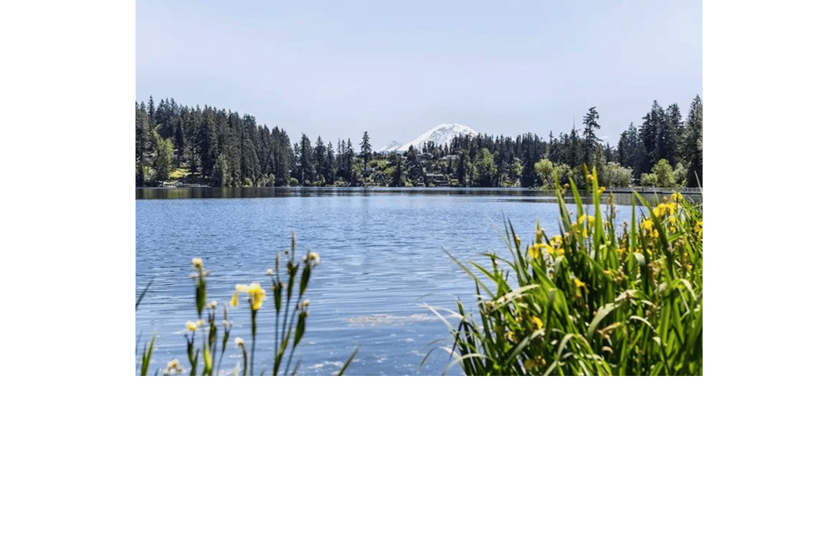 A water side view in Maple Valley part of Home Instead Maple Valley Kent s Alzheimer s Dementia Respite Elder and 24 Hour Care Service Area for Aging Adult Care