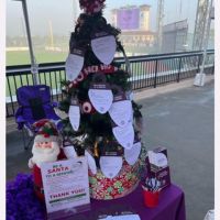 Hawaiian Christmas at Alz Walk