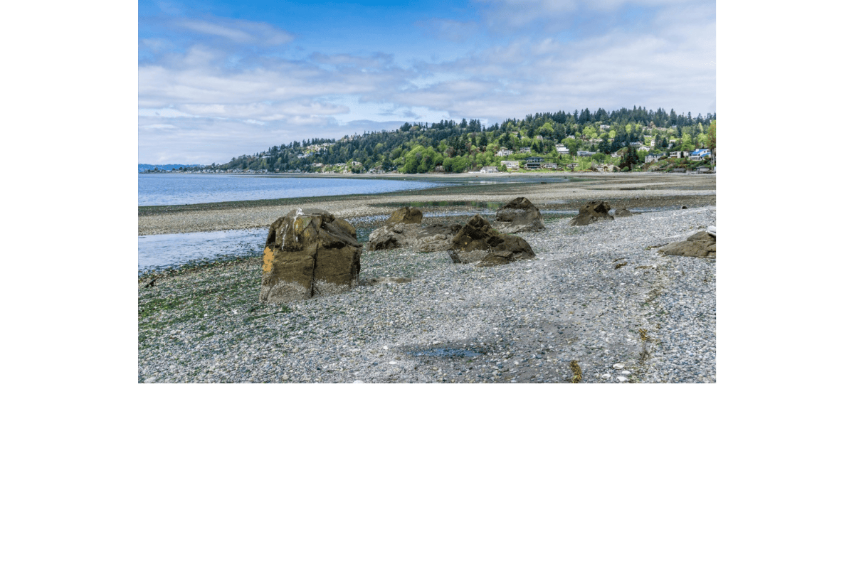 City of Normandy Park part of Home Instead Maple Valley Kent s Alzheimer s Dementia Respite Elder and 24 Hour Care Service Area for Aging Adult Care