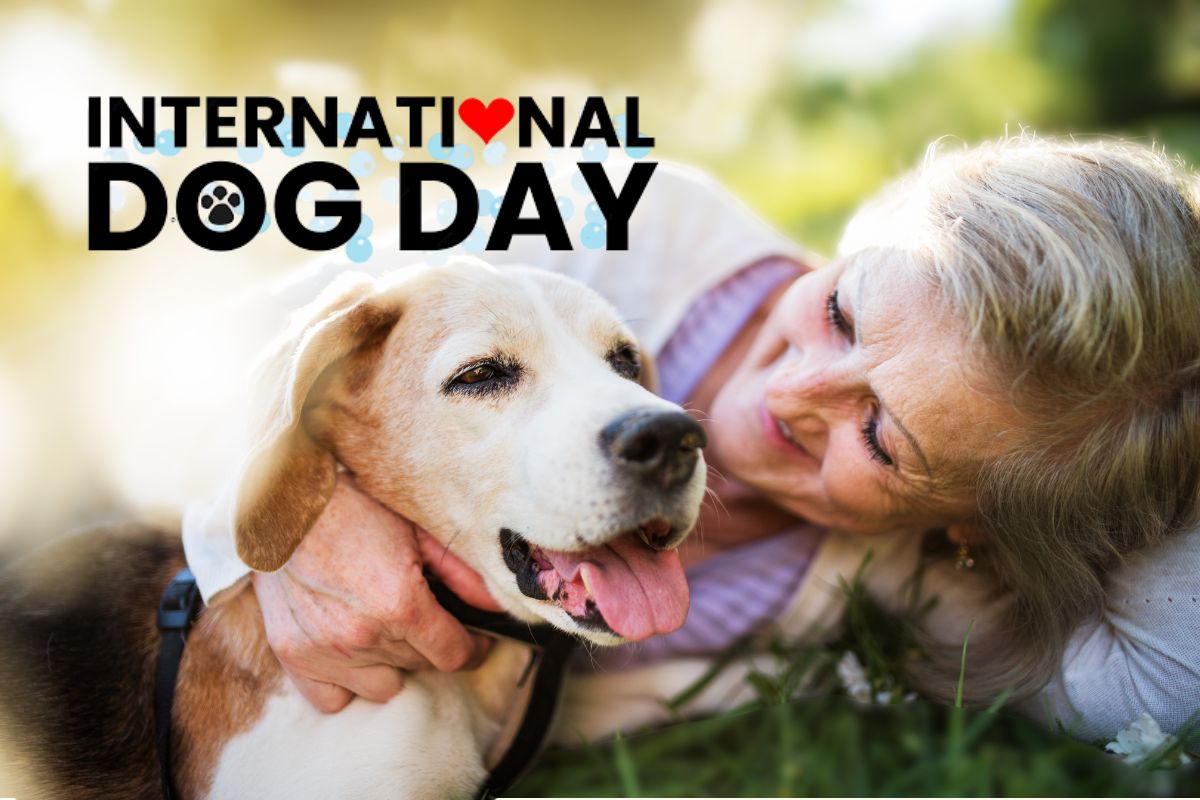 Home Instead Celebrates International Dog Day in Lincoln, NE