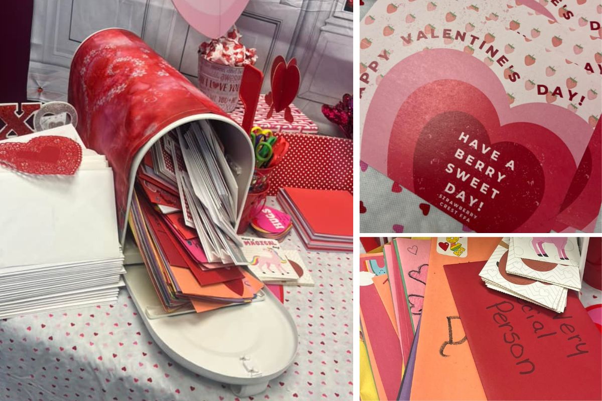 Home Instead Collects Valentine's for Seniors in Lakeland, FL collage