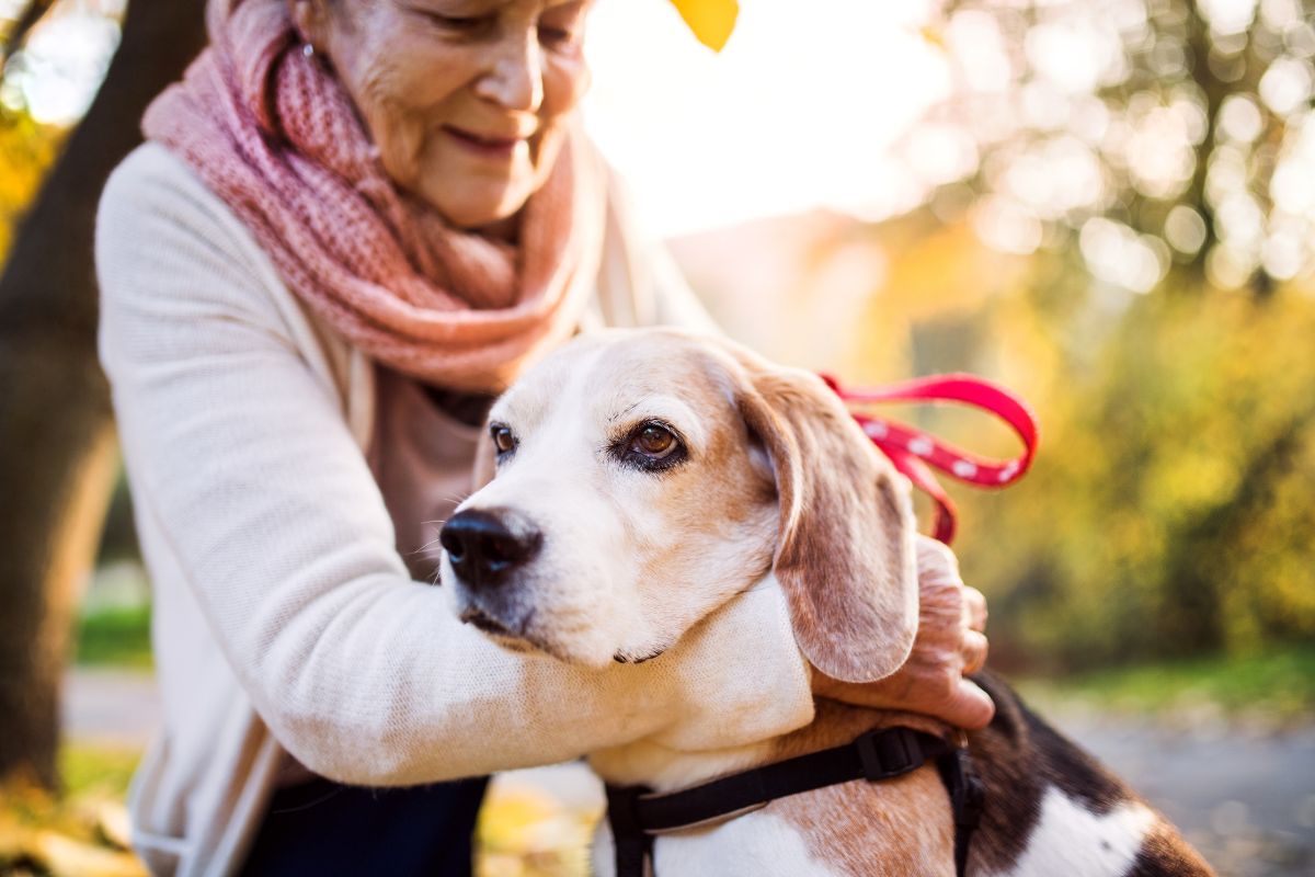 Caring for Seniors and Their Pets Support from Home Instead