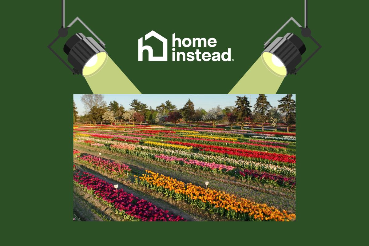 Holland, MI Notable Event Tulip Time Festival