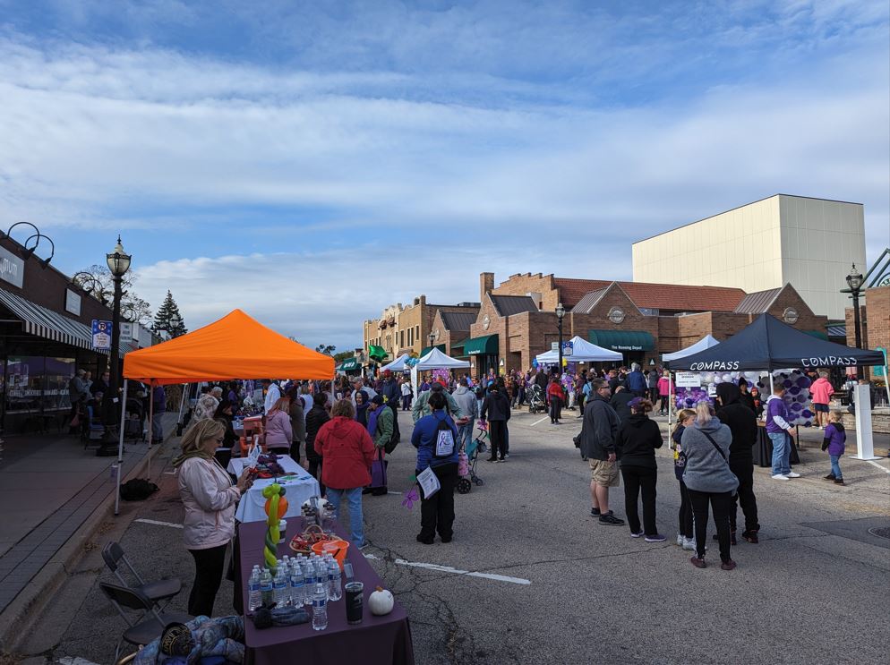 Home Instead 2023 Walk to End Alzheimer's in Crystal Lake, IL.JPG