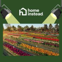 Holland, MI Notable Event: Tulip Time Festival