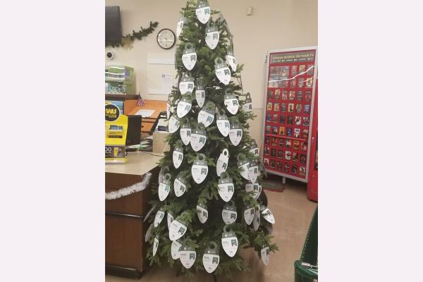 be a santa to a senior melrose ma hero